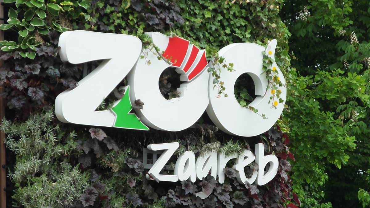 Zoo 01