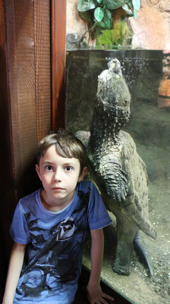 Zoo 07