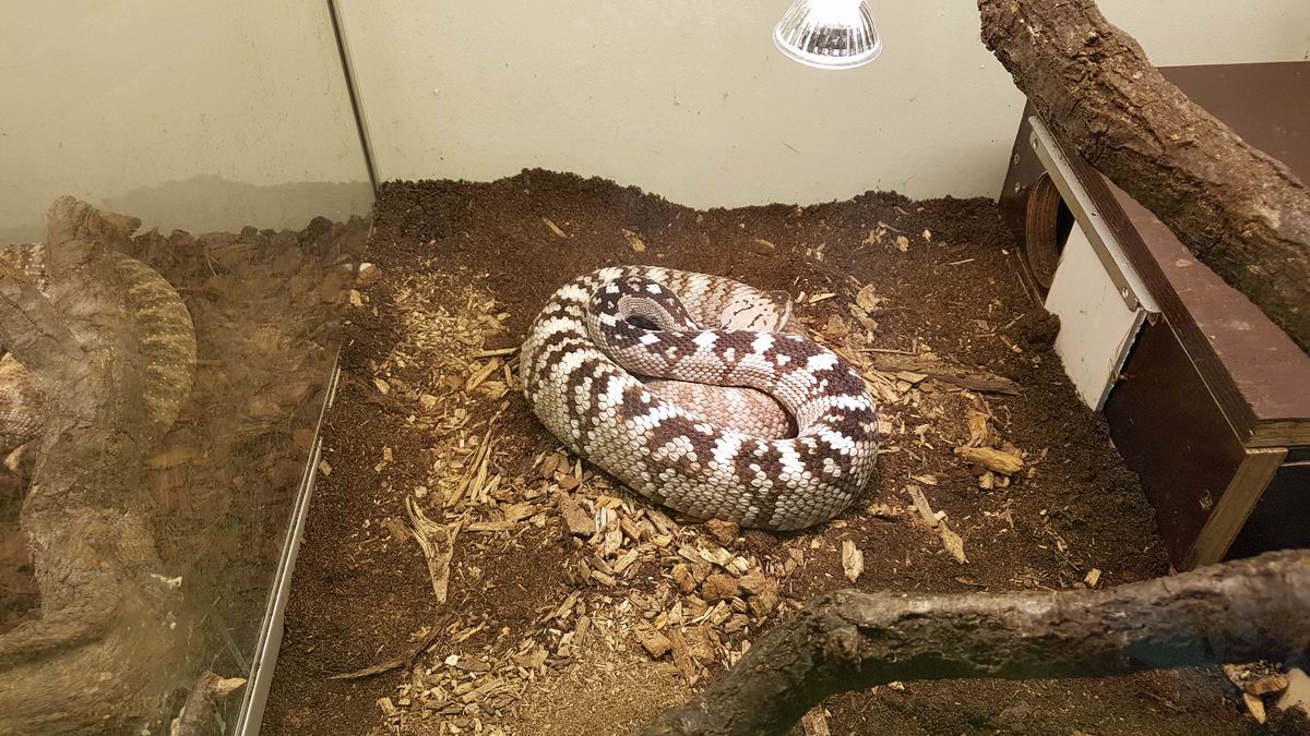 Zoo 09