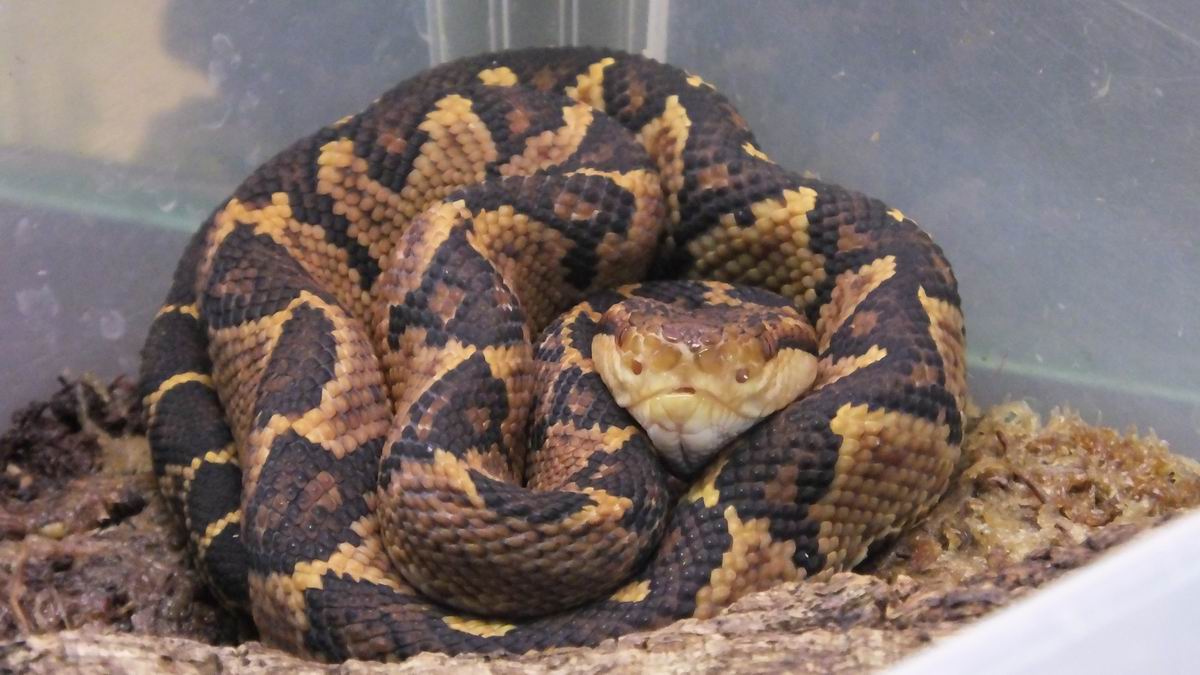 Zoo 10