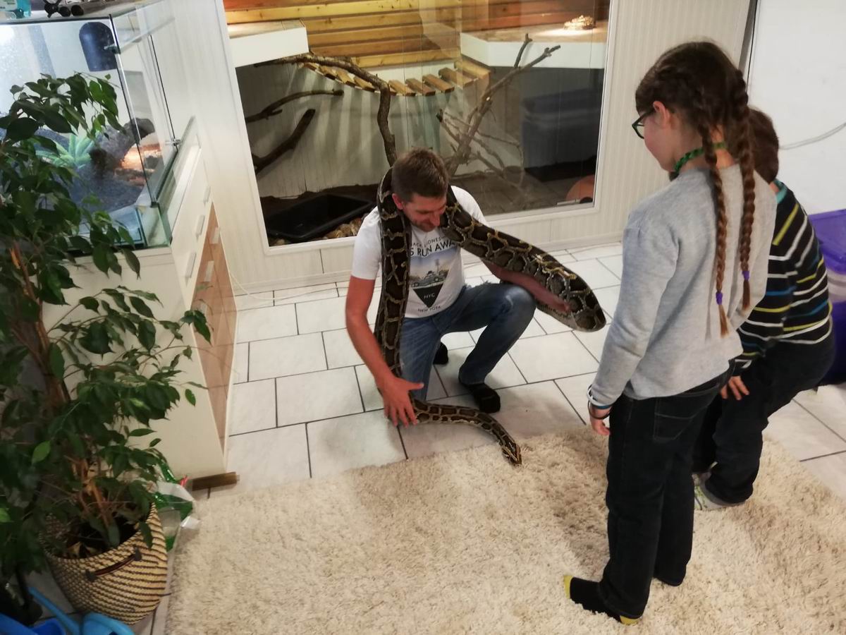 2018 11 30  molurus 04