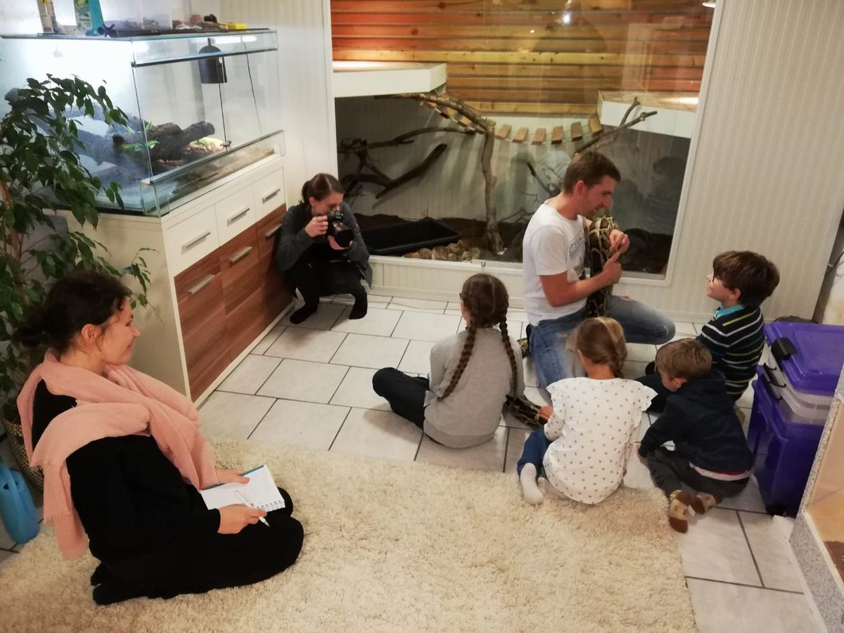 2018 11 30  molurus 06