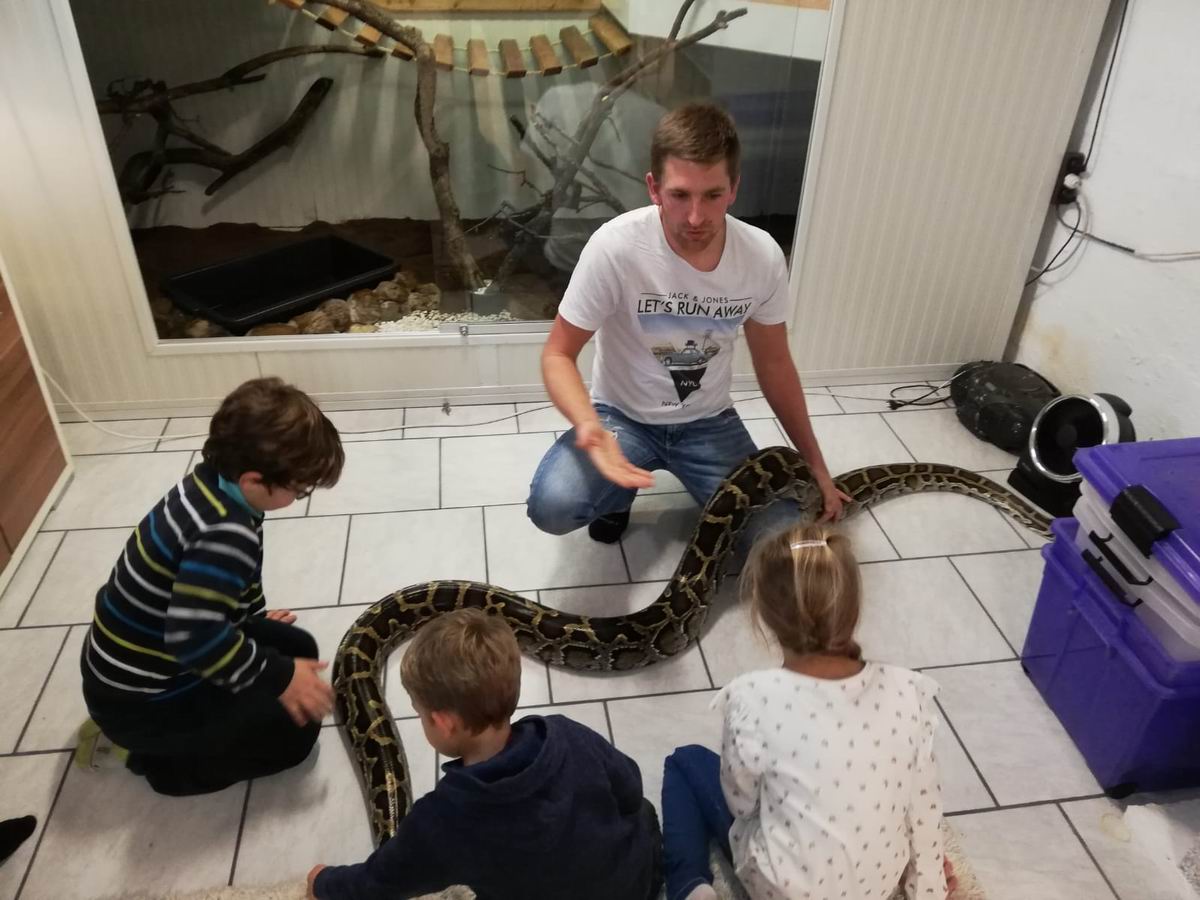 2018 11 30  molurus 07