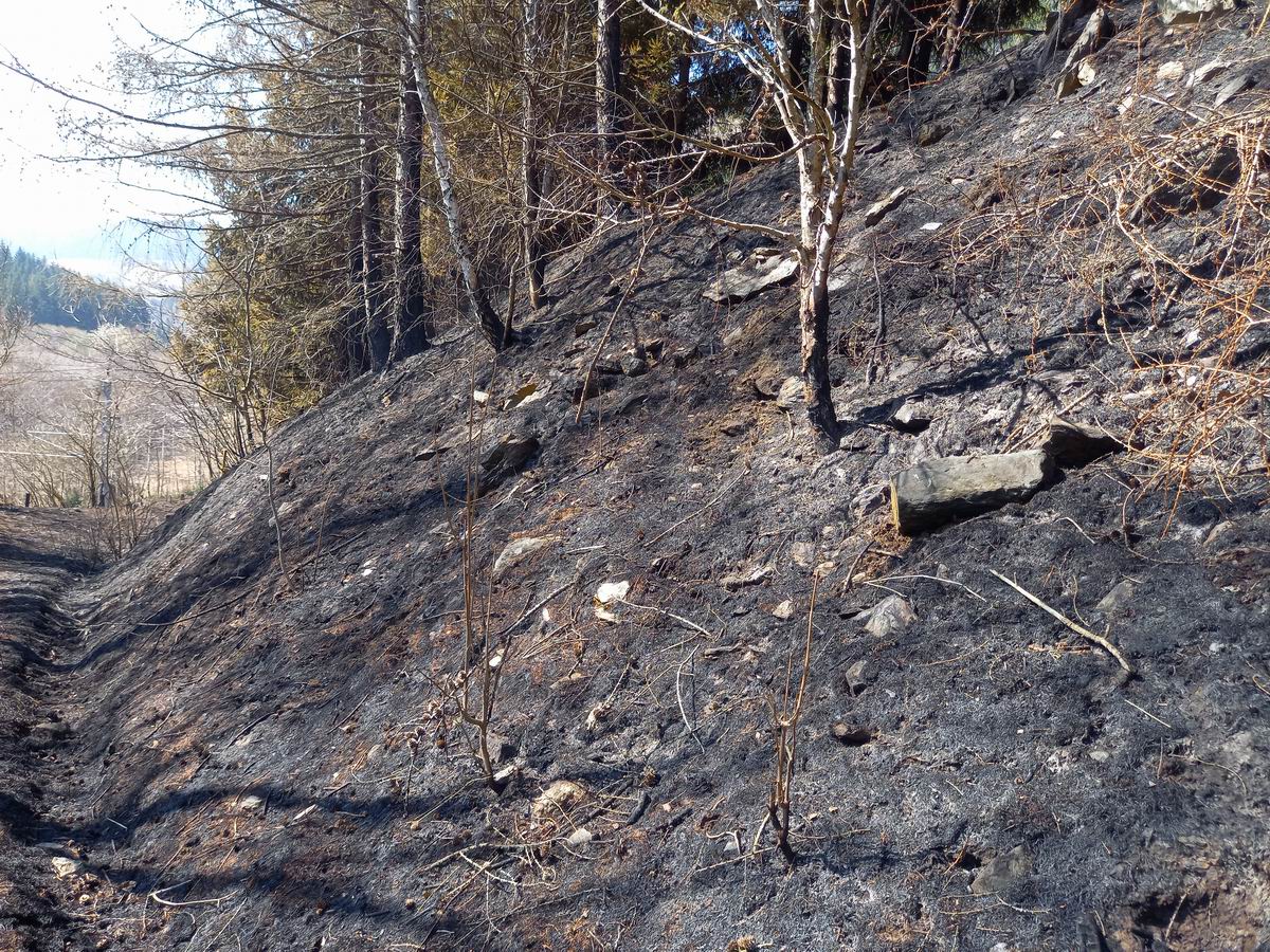 Brand-08