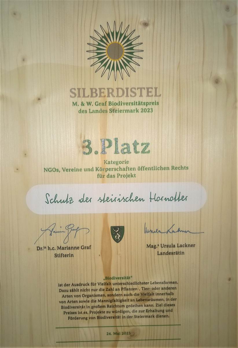 SD-Preis-2023 03