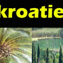 beitragsbild-4