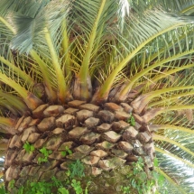 p1040405