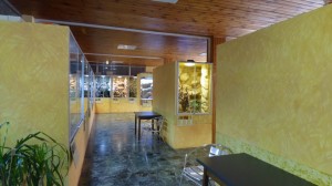 Forchtenstein 24