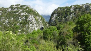 Montenegro 104