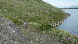 Montenegro 196