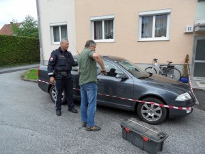 2012 Hornviper Gleisdorf  (3)