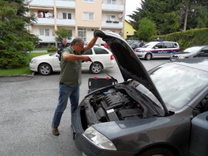 2012 Hornviper Gleisdorf  (4)