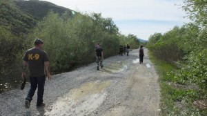 2015 Montenegro 182