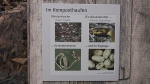 2016 Joanneum  069