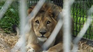 Zoo 03