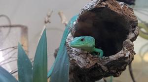 Zoo 23